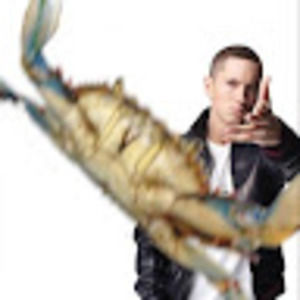 Meet your Posher, Moon